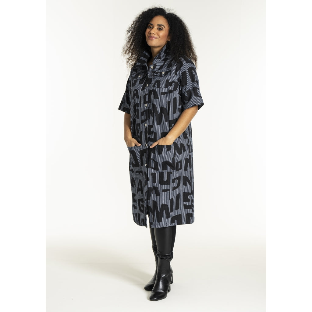 Studio SNalina Denim Dress Dress Blue white striped denim with print