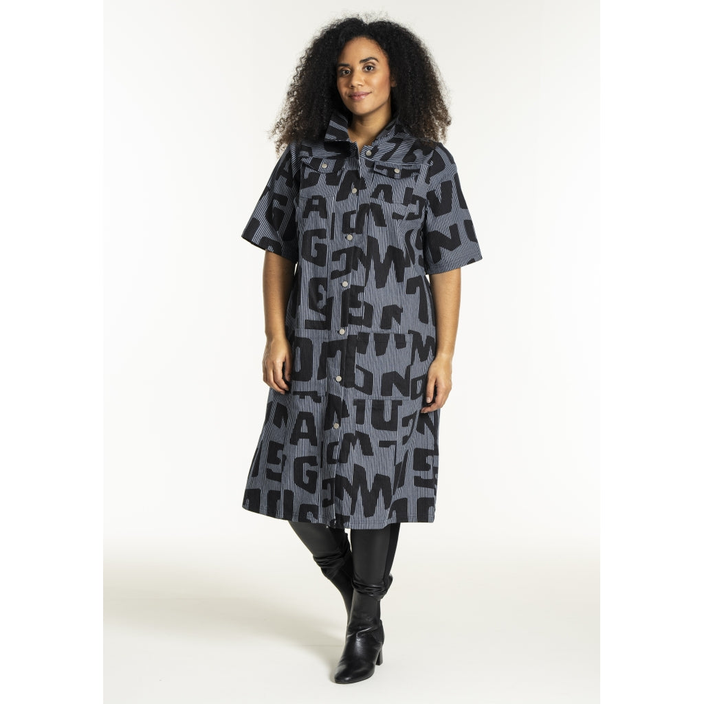 Studio SNalina Denim Dress Dress Blue white striped denim with print