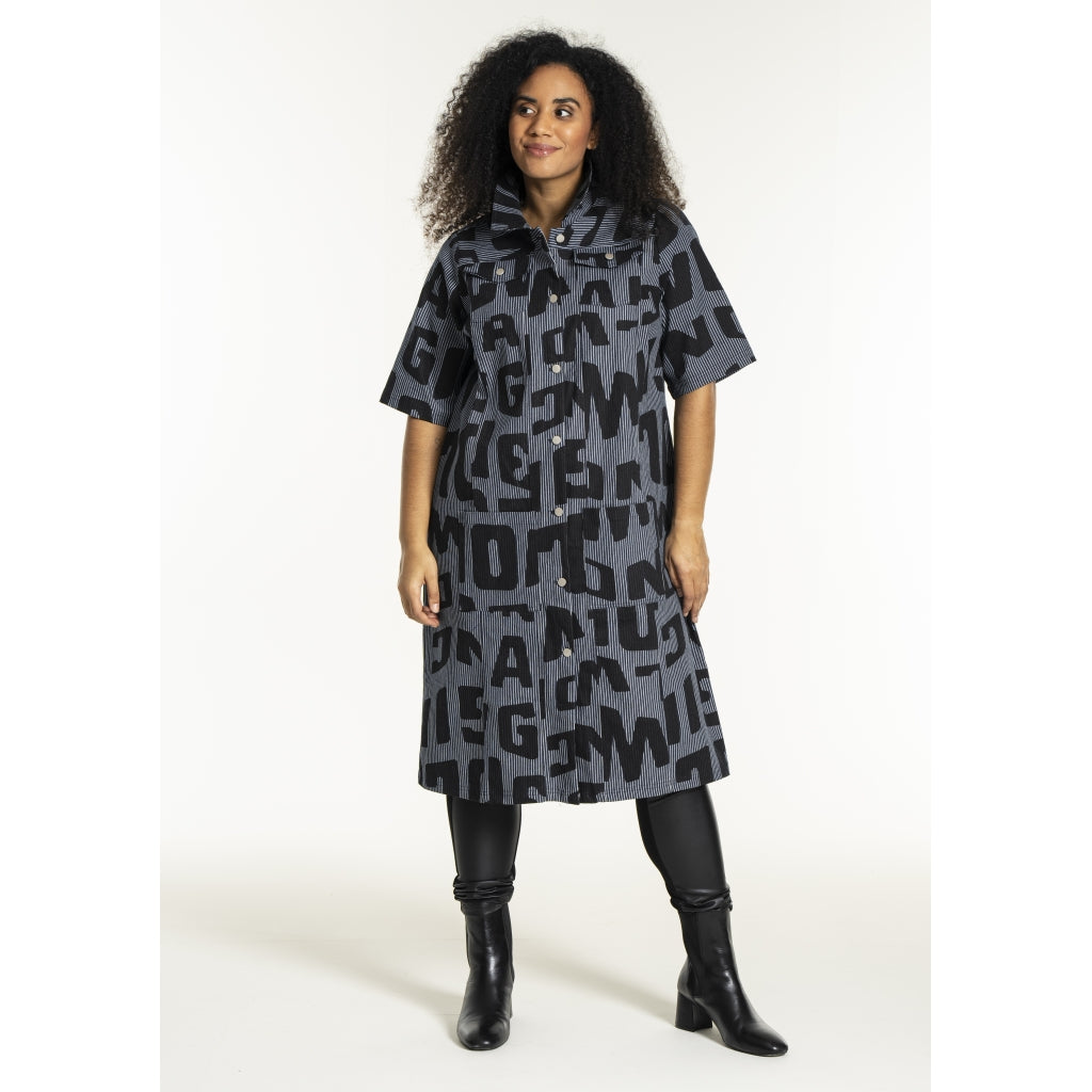 Studio SNalina Denim Dress Dress Blue white striped denim with print